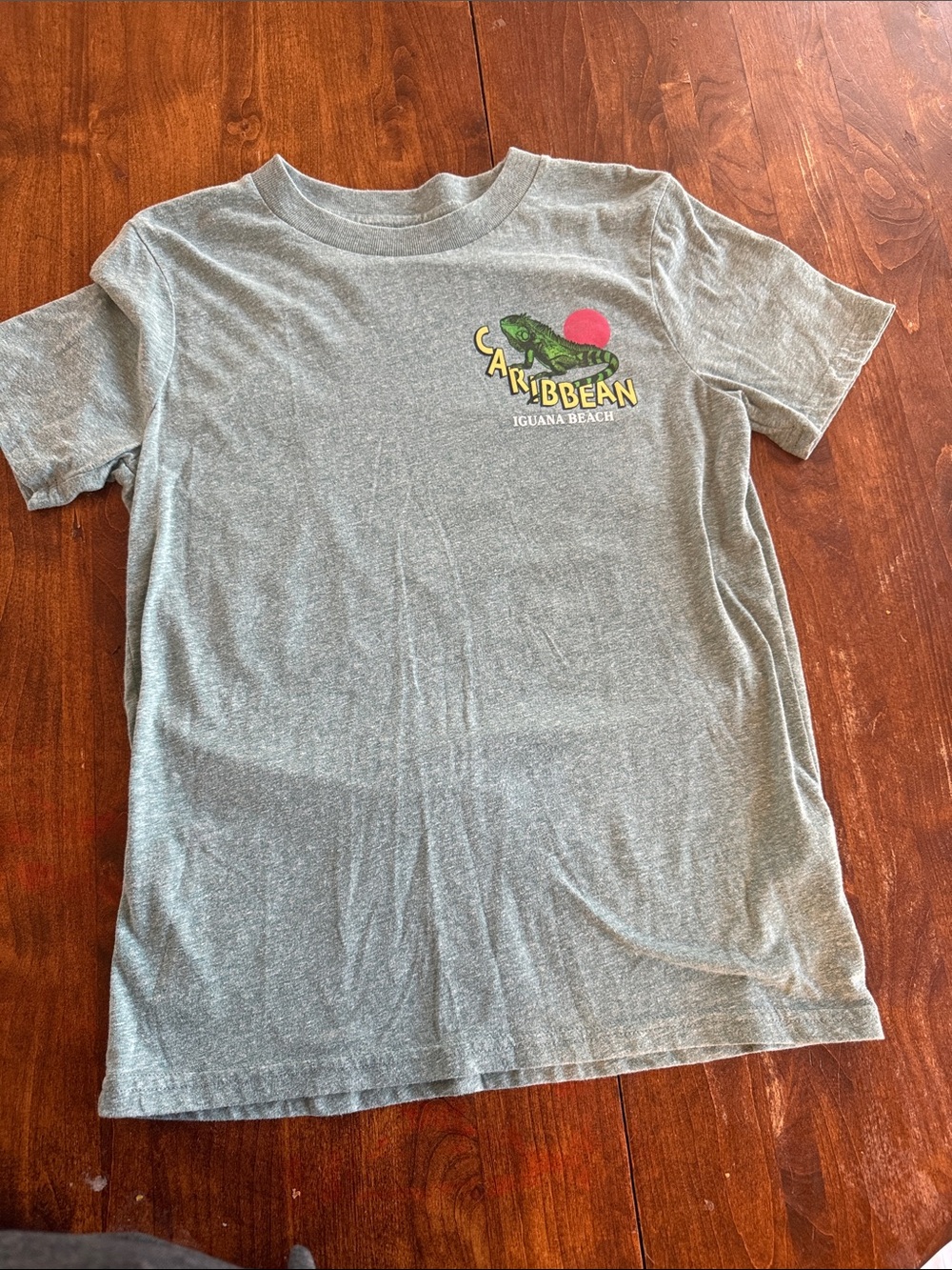 abercrombie kids Gray Tee with Green Iguana Graphic